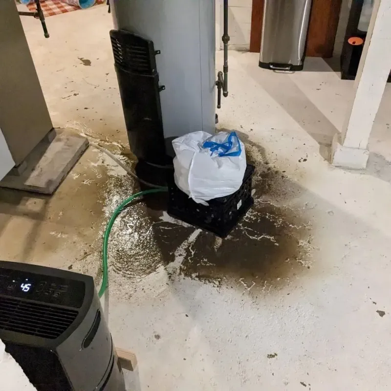 Sewage Backup Cleanup Service in Montgomery City, MO